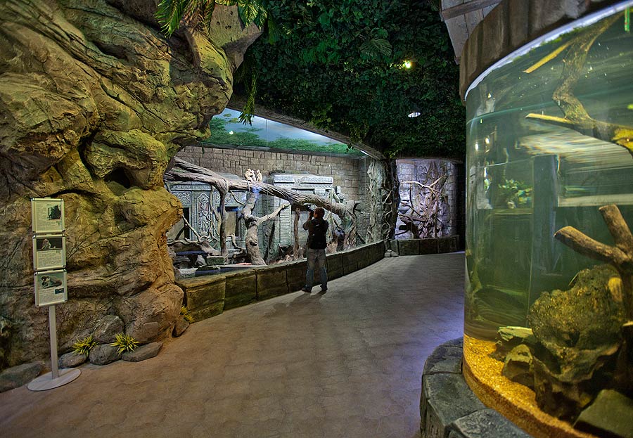 Экзотариум в зоопарке в москве фото