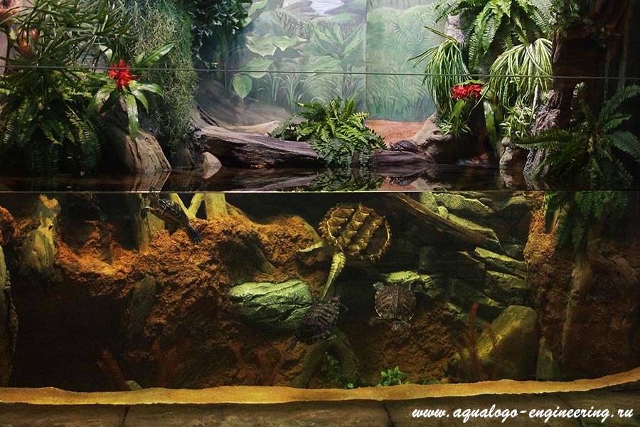 Как правильно оборудовать аквариум для красноухой черепахи?