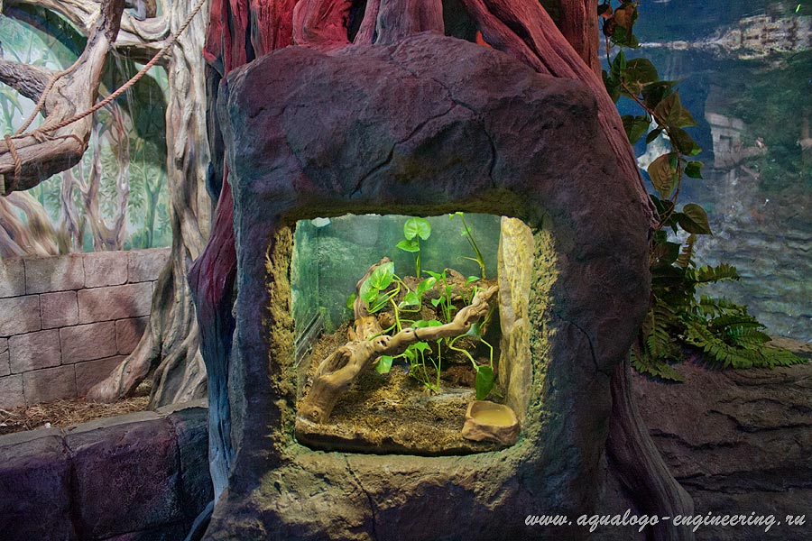Экзотариум в зоопарке в москве фото